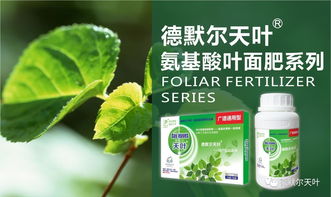 氨基酸肥料詳解 原來氨基酸這么了不起，生物質能技術服務的力量