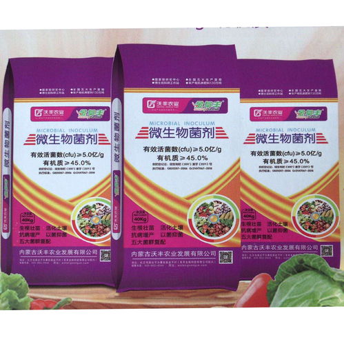 通用復合肥與生物質能技術 花卉綠植高效養護新選擇