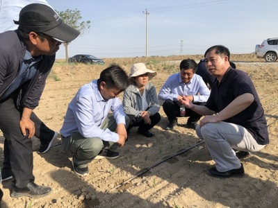 智慧滴灌助增產(chǎn) 引得肥水潤(rùn)良田--走近兵團(tuán)‘最美科技工作者’的生物有機(jī)肥料研發(fā)之路