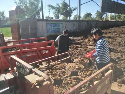 順豐洱海環(huán)保股份榮膺“云南省百戶優(yōu)強(qiáng)民營企業(yè)”稱號(hào)，生物質(zhì)能技術(shù)服務(wù)引領(lǐng)綠色新篇章